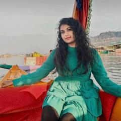 houseboat new moon group of houseboats