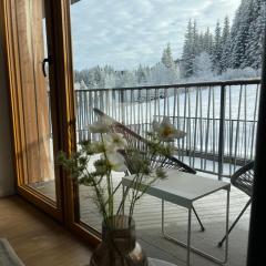 Oravska Lesna Residence - Villa Erdödy Resort