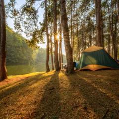 7 GREAT LAKE TREK Sonmarg