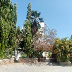 Kamsons villa accommodation