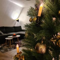 Ferienwohnung Nr 2 am Hambach