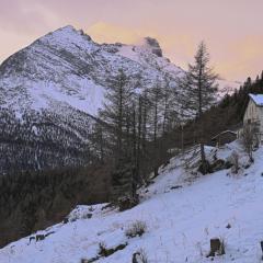 Apartment Waldhotel Fletschhorn Saas-Fee by Interhome