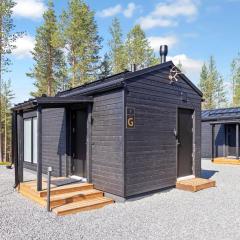 Holiday Home Visit pyhä cabins g by Interhome