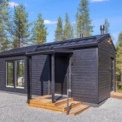 Holiday Home Visit pyhä cabins h by Interhome