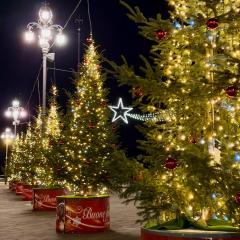 Five Flowers Guest House