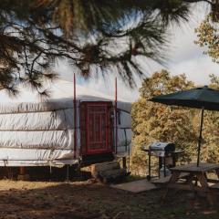 Mongolian yurt at a nature retreat