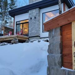 Le Renard Blanc - Spa and Incredible View