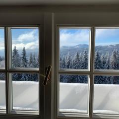 Exkluzivní Apartmány Šumava