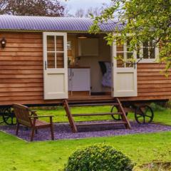 Shepherds Hut at Snowdon Farm