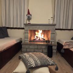 Metsovo Fireplace Retreat 2