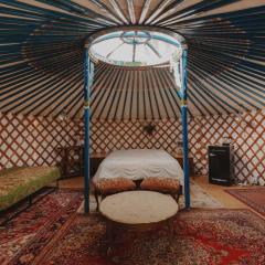 Glamping yurt at a nature retreat near Sequoia