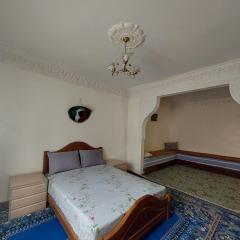 Comfortable Studio 1