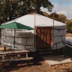 Glamping yurt at a nature retreat Sequoia Highland