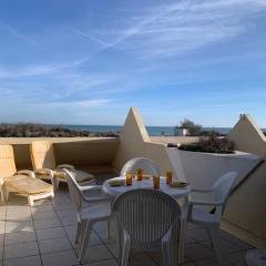 541 Appartement 4 pers Héliopolis AB très grande terrasse vue mer