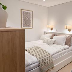 New modern apartment