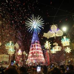 Alojamientos Ría de Vigo & Alborada