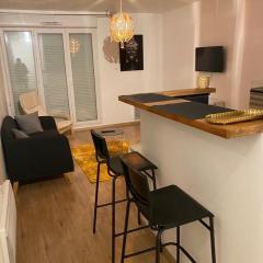 Beau 2 pièces moderne et cosy à Corbeil-Essonnes