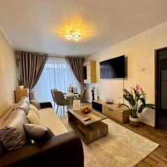 Ultracentral Piata Victoriei 19- City Center View