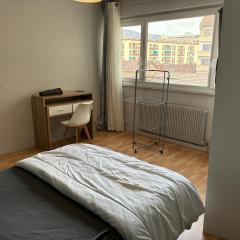 Green room - Wifi - Centre ville - Cosy