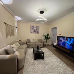 Amazing apartment for rent