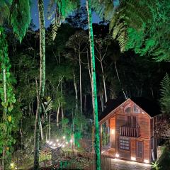 Cabana em meio a mata atlântica