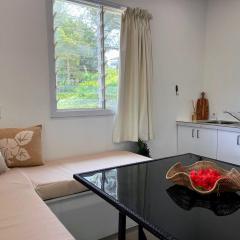 Little Hibiscus Aitutaki