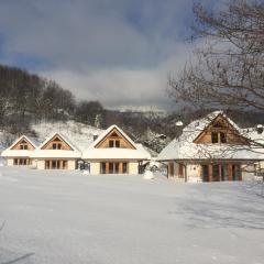 Chaty pod Beskidkiem