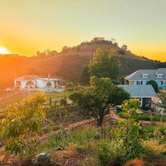 Enchanted Estate With Animals Lightscapes and Whimsy