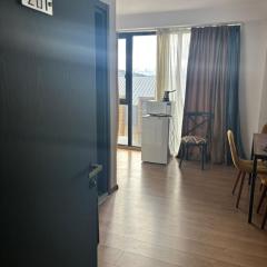 bakuriani apart hotel room 201