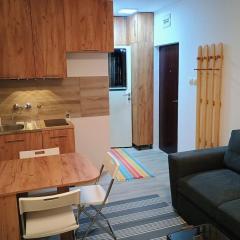 Ana Apartment River Sava