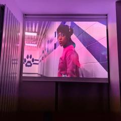 Newly renovated, modern studio within a detached