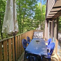 Renovated Ardennes Chalet with Patio