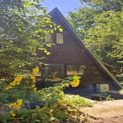 Contemporary Ardennes Chalet in Durbuy