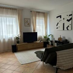 Historic View Apartment Jesuitenplatz