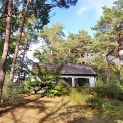 Strandhaus auf der Düne - Erste Reihe am Strand Zempin