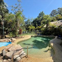 Tropic Oasis by Charlesworth