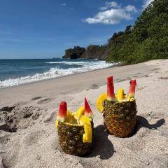 Casa Pura Vida 2bd Tropical Paradise 6min Walk To The Beach Activity Amenities Included