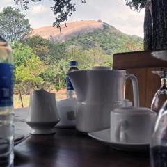 Sigiri Arana Sigiriya