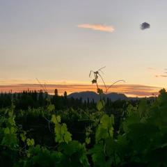 Cabaña Oliva - Privacidad frente a los viñedos