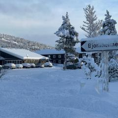 Bjorliheimen Fjellhotell-Hotellrom