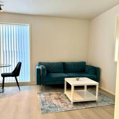 Modern small apartment