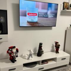 A B V Central Apartament