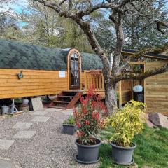 Roulotte avec spa privé