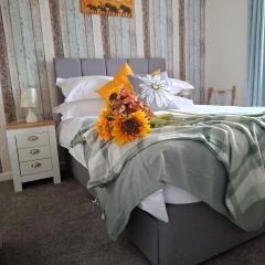 Cozy Guest Room in Heart of Torquay