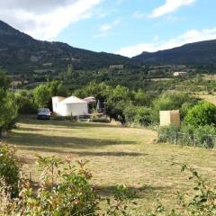 La Yourte Des Abeilles