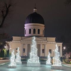 Central Location Apartment