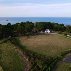 Maison Les Pieds Dans L'eau - Vue Mer - Ilot Saint-Michel