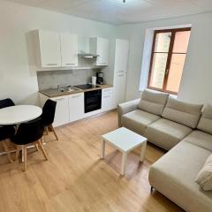 Cosy 5 - Belfort centre