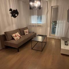 Hafnarstræti 100, Downtown Apartment