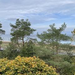 Strandflieder Zimmer 302